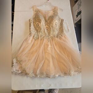 Gold and Cream Embellished Dress